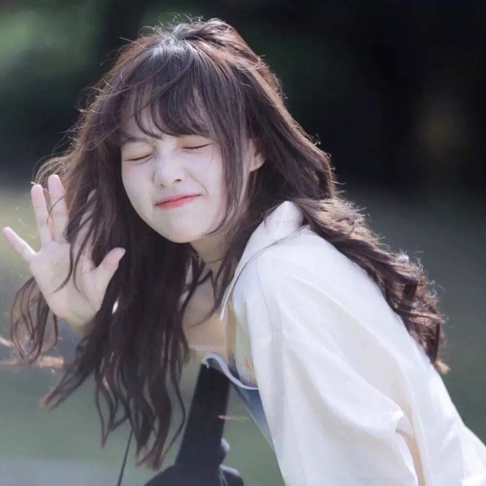 羊与钢之森