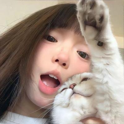 阿基米德后宫的茶